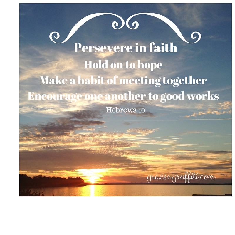 HEbrews 10
