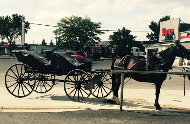 amish-buggy