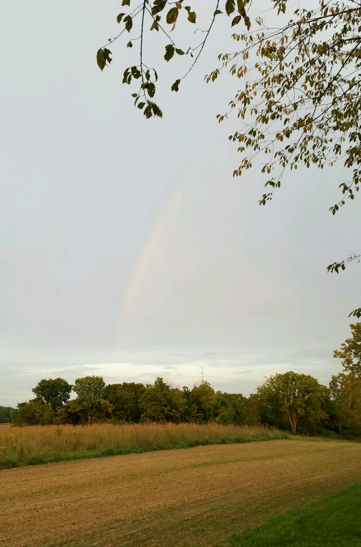 sunset-at-millers-pond